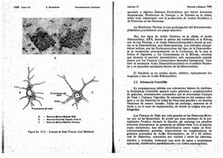 Tomo3tratadodeneuroanatomíafuncional.pdf