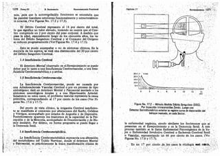 Tomo3tratadodeneuroanatomíafuncional.pdf