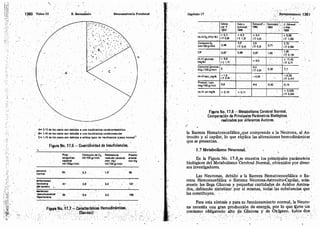 Tomo3tratadodeneuroanatomíafuncional.pdf