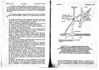 Tomo3tratadodeneuroanatomíafuncional.pdf