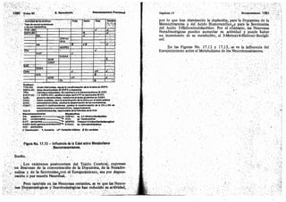 Tomo3tratadodeneuroanatomíafuncional.pdf