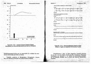 Tomo3tratadodeneuroanatomíafuncional.pdf