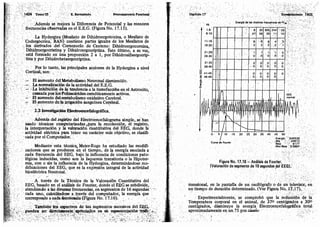 Tomo3tratadodeneuroanatomíafuncional.pdf