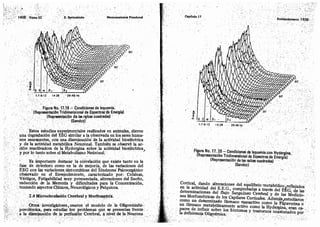 Tomo3tratadodeneuroanatomíafuncional.pdf