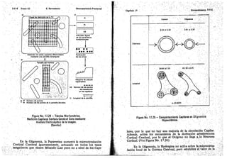 Tomo3tratadodeneuroanatomíafuncional.pdf