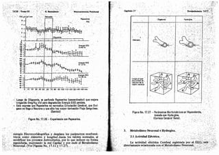 Tomo3tratadodeneuroanatomíafuncional.pdf