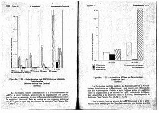 Tomo3tratadodeneuroanatomíafuncional.pdf