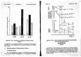 Tomo3tratadodeneuroanatomíafuncional.pdf