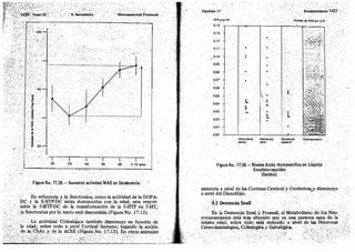 Tomo3tratadodeneuroanatomíafuncional.pdf