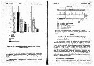 Tomo3tratadodeneuroanatomíafuncional.pdf
