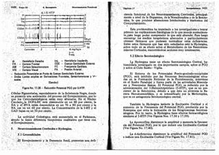 Tomo3tratadodeneuroanatomíafuncional.pdf