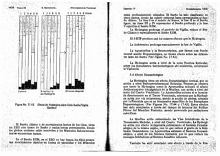Tomo3tratadodeneuroanatomíafuncional.pdf