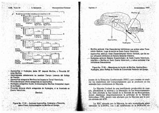 Tomo3tratadodeneuroanatomíafuncional.pdf
