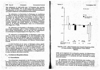 Tomo3tratadodeneuroanatomíafuncional.pdf