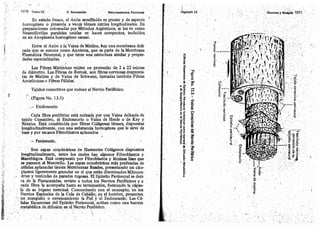 Tomo3tratadodeneuroanatomíafuncional.pdf