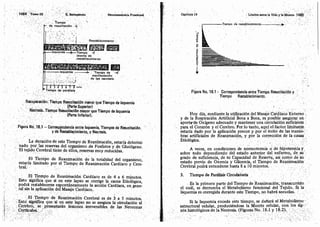 Tomo3tratadodeneuroanatomíafuncional.pdf