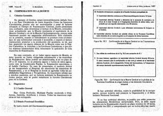 Tomo3tratadodeneuroanatomíafuncional.pdf