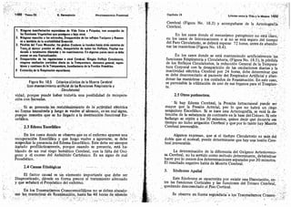 Tomo3tratadodeneuroanatomíafuncional.pdf