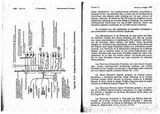 Tomo3tratadodeneuroanatomíafuncional.pdf