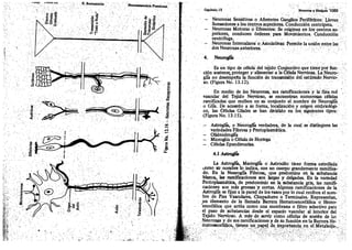 Tomo3tratadodeneuroanatomíafuncional.pdf