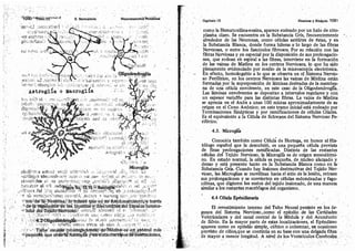 Tomo3tratadodeneuroanatomíafuncional.pdf