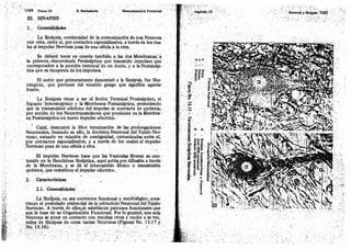 Tomo3tratadodeneuroanatomíafuncional.pdf