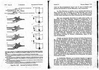 Tomo3tratadodeneuroanatomíafuncional.pdf