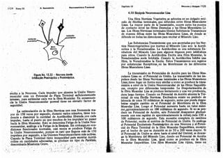 Tomo3tratadodeneuroanatomíafuncional.pdf