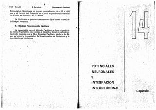 Tomo3tratadodeneuroanatomíafuncional.pdf