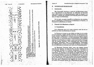 Tomo3tratadodeneuroanatomíafuncional.pdf