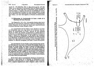 Tomo3tratadodeneuroanatomíafuncional.pdf