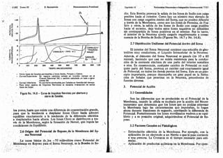 Tomo3tratadodeneuroanatomíafuncional.pdf