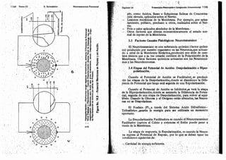Tomo3tratadodeneuroanatomíafuncional.pdf