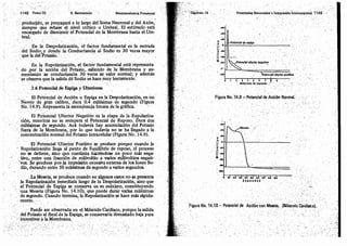 Tomo3tratadodeneuroanatomíafuncional.pdf
