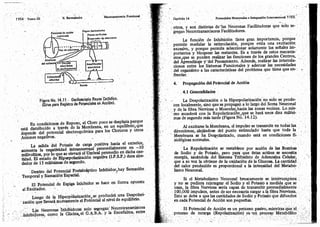 Tomo3tratadodeneuroanatomíafuncional.pdf