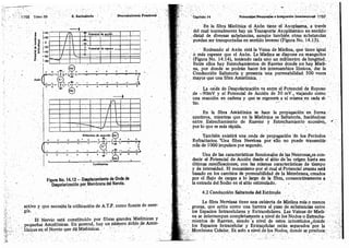 Tomo3tratadodeneuroanatomíafuncional.pdf
