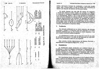 Tomo3tratadodeneuroanatomíafuncional.pdf