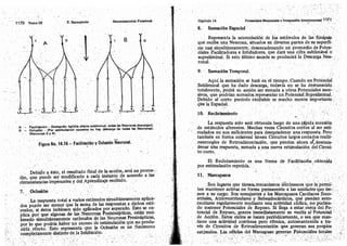 Tomo3tratadodeneuroanatomíafuncional.pdf