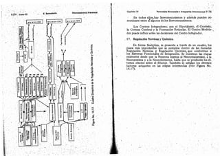 Tomo3tratadodeneuroanatomíafuncional.pdf