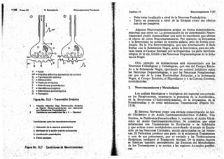 Tomo3tratadodeneuroanatomíafuncional.pdf