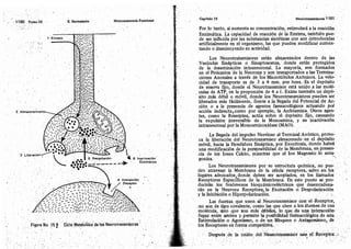 Tomo3tratadodeneuroanatomíafuncional.pdf