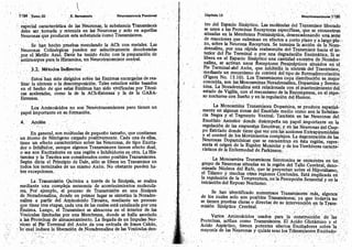 Tomo3tratadodeneuroanatomíafuncional.pdf