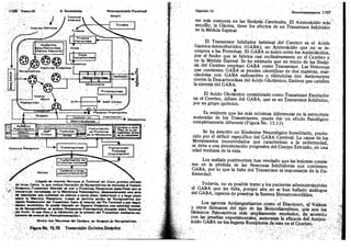 Tomo3tratadodeneuroanatomíafuncional.pdf