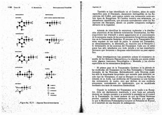 Tomo3tratadodeneuroanatomíafuncional.pdf