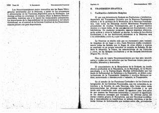 Tomo3tratadodeneuroanatomíafuncional.pdf