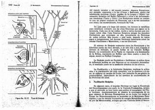 Tomo3tratadodeneuroanatomíafuncional.pdf