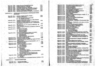 Tomo3tratadodeneuroanatomíafuncional.pdf