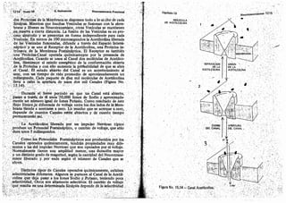 Tomo3tratadodeneuroanatomíafuncional.pdf