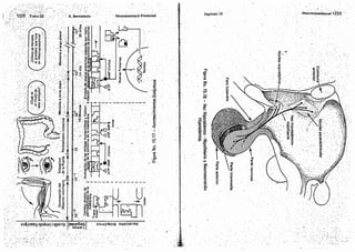 Tomo3tratadodeneuroanatomíafuncional.pdf