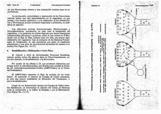 Tomo3tratadodeneuroanatomíafuncional.pdf